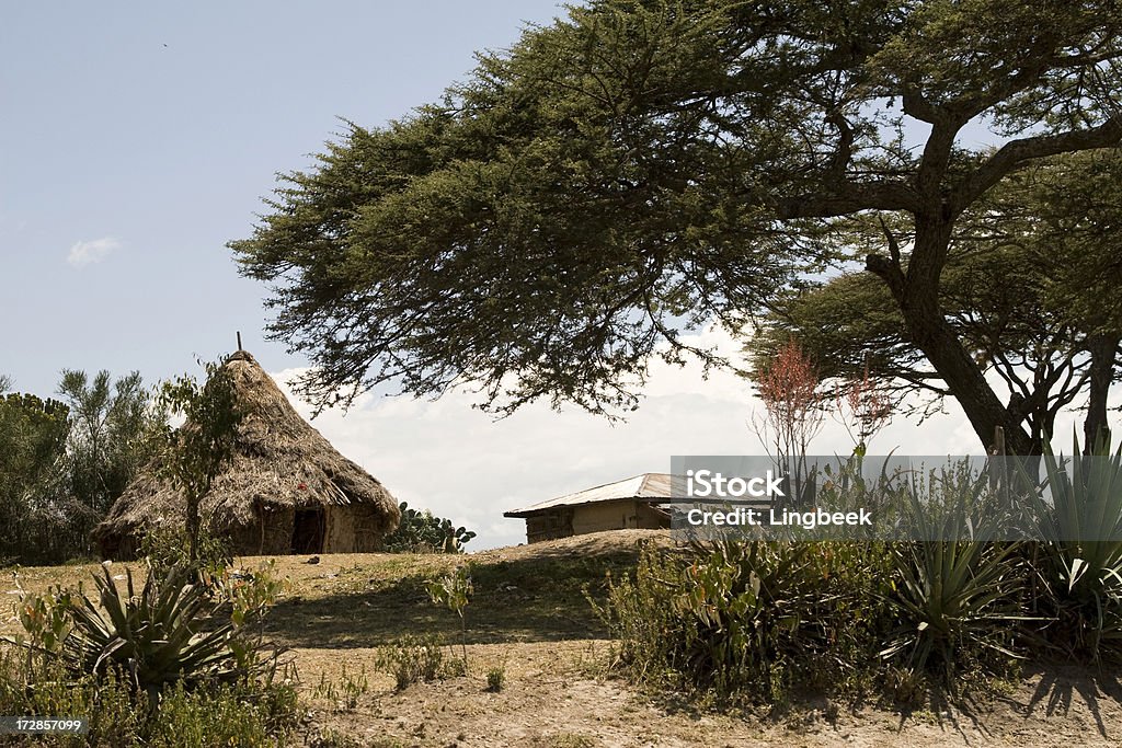cabana na Etiópia - Royalty-free Ajardinado Foto de stock