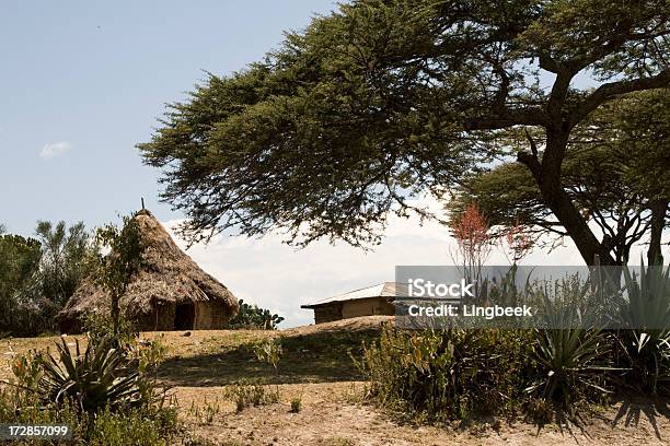 Cabana Na Etiópia - Fotografias de stock e mais imagens de Ajardinado - Ajardinado, Aldeia, Ao Ar Livre