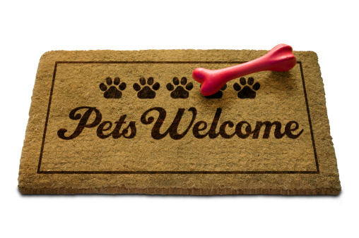 Pets Welcome Doormat, with Clip Path. Isolated on White. Clip Path removes shadow. SEE FILE 6580877 for a 'Sorry - No Pets Doormat' Doormat