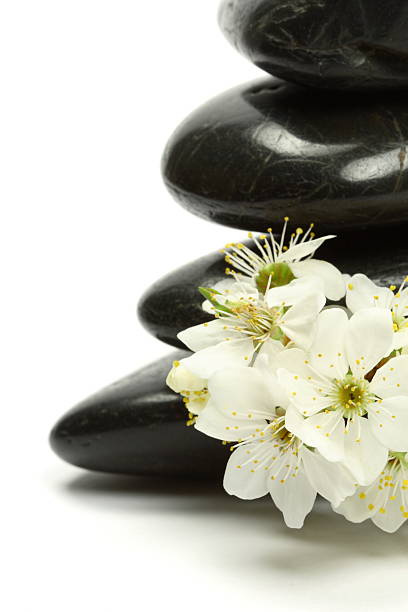 istock Lava Stones with White Flower 172858051