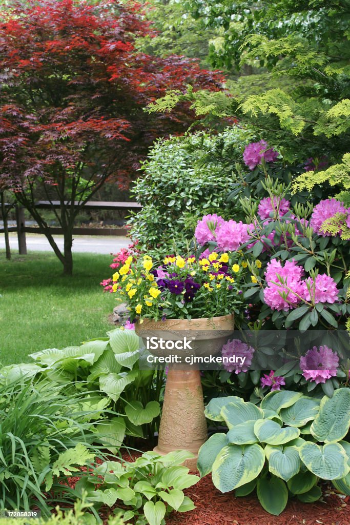 Jardim de primavera - Foto de stock de Jardim particular royalty-free
