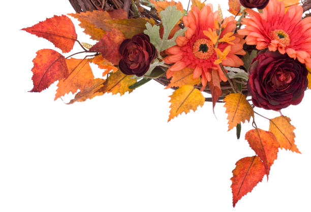 Autumn Wreath Stock Photo - Download Image Now - Flower, Autumn, Frame -  Border - iStock