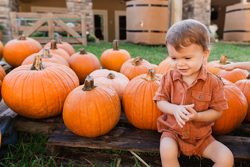 A Cute Cuban-American 21-Month-Old Baby Boy Dressed in a Rust Linen Romper and Brown Sandals While Surrounded by Orange Pumpkins at a Pumpkin Patch in South Florida