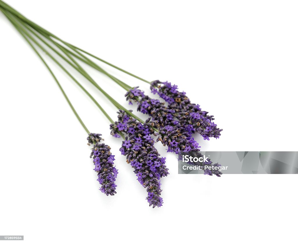 Lavanda - Foto de stock de Aromaterapia royalty-free