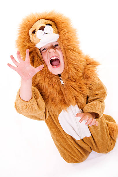 Lion! stock photo