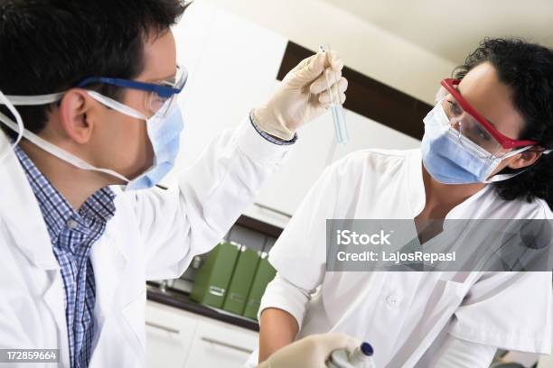 Working In The Laboratory Stock Photo - Download Image Now - 20-29 Years, Adult, Bacterium