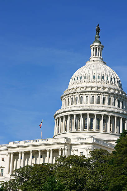 istock The Capitol in Washington DC (USA) 172859994