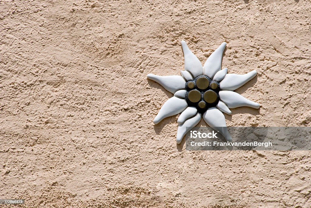 Edelweiss decoração em uma parede de estuque agitado - Foto de stock de Azulejo royalty-free