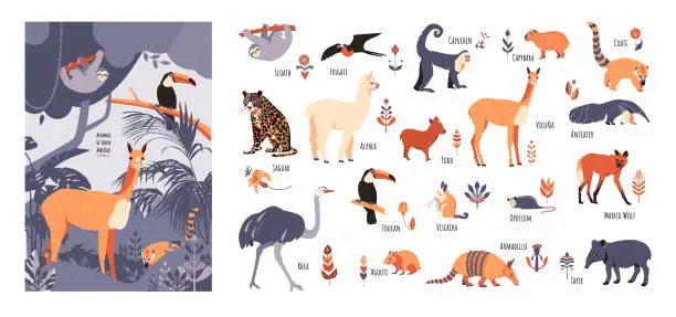 Vector illustration of Set of South American animals with floral elements and captions. Vector illustration in hand drawn style isolated on white background