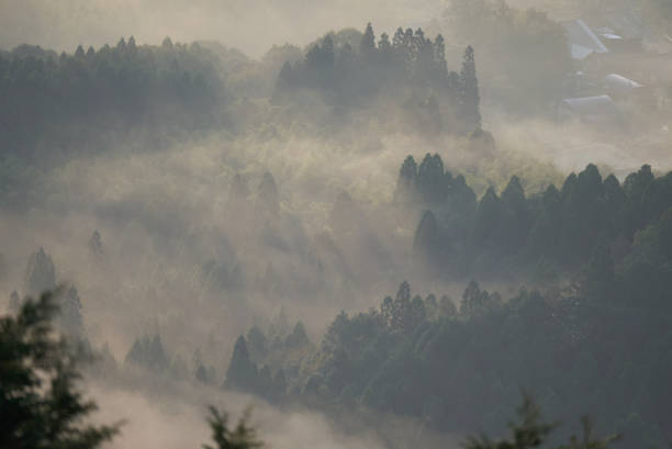 istock Beautiful sea of clouds and forest scenery 1728619188