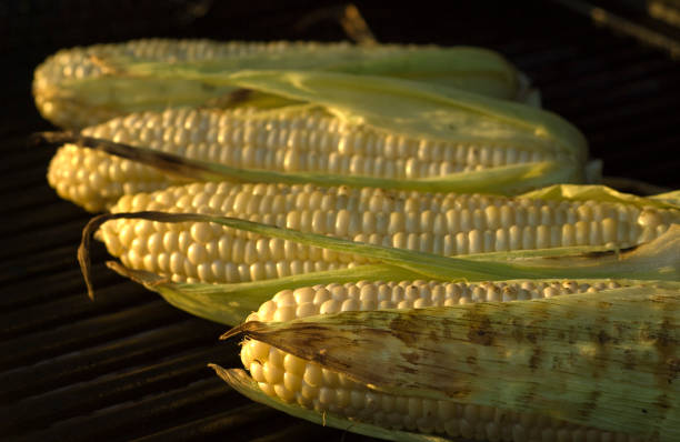 barbacoa maíz. - white corn fotografías e imágenes de stock