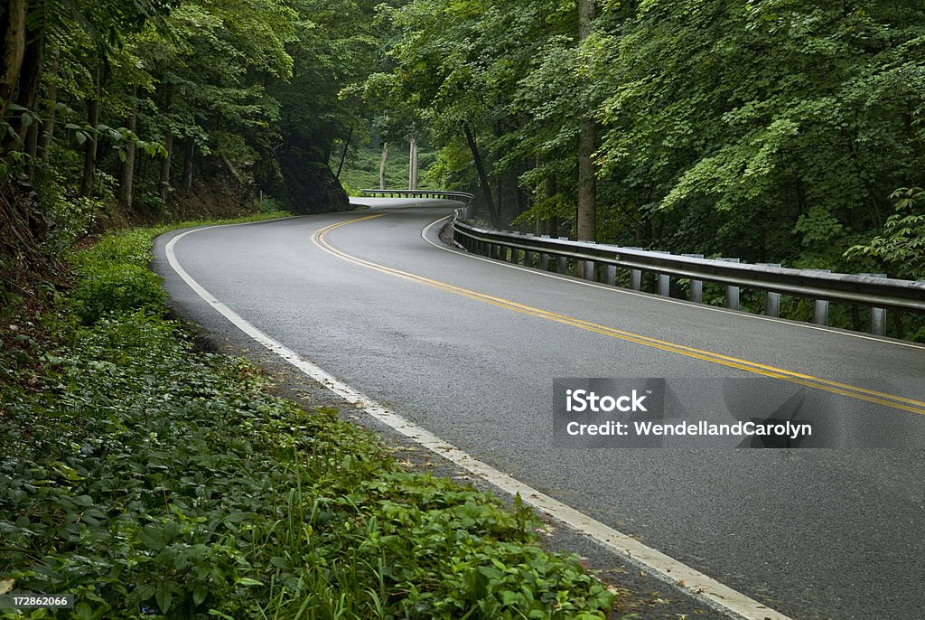 Smoky Mountain Road - Foto de stock de Appalachia royalty-free