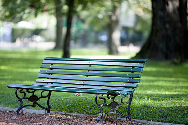 istock Green park bench under the sun by a grassy park 172862143