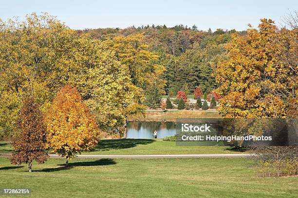 Autumn Landscape Stock Photo - Download Image Now - Morton Arboretum, Autumn, Beauty In Nature