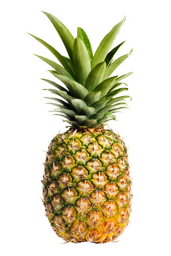 One whole pineapple, a ripe, fresh tropical fruit, cut out and isolated on a white background. The prickly exterior of the raw food hides the juicy, sweet, yellow dessert treat inside. A gourmet Hawaiian meal ingredient, the crop may be grown organically for part of a vegetarian, healthy eating diet.
