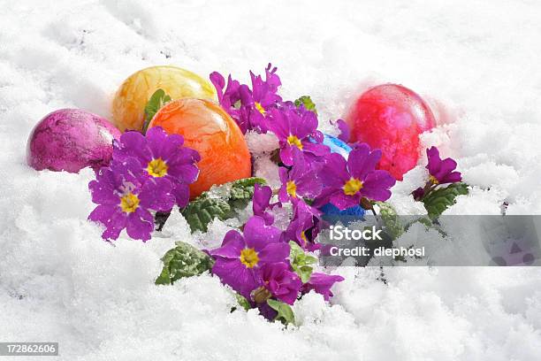 Weisse Easter Basket Stockfoto und mehr Bilder von Ostern - Ostern, Schnee, Blume