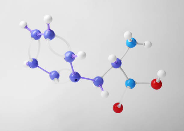 istock Molecule of phenylalanine on white background. Chemical model 1728630647