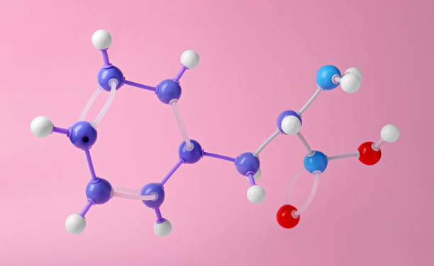 istock Molecule of phenylalanine on pink background. Chemical model 1728630664