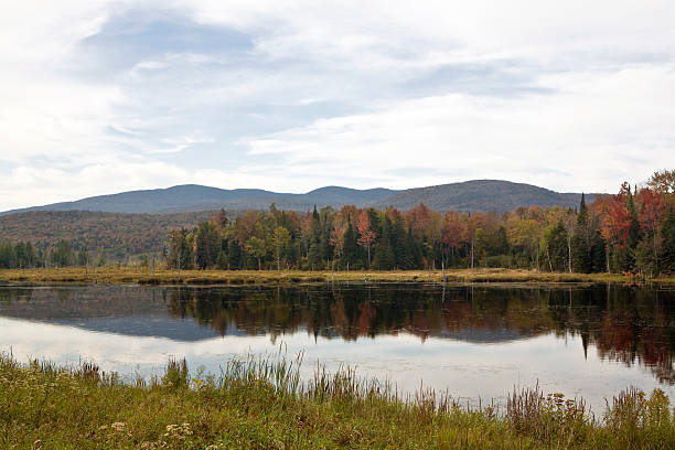 istock Change Of Seasons 172863581