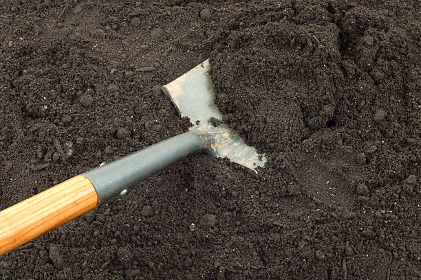 istock Shovel in Garden Soil 172863793