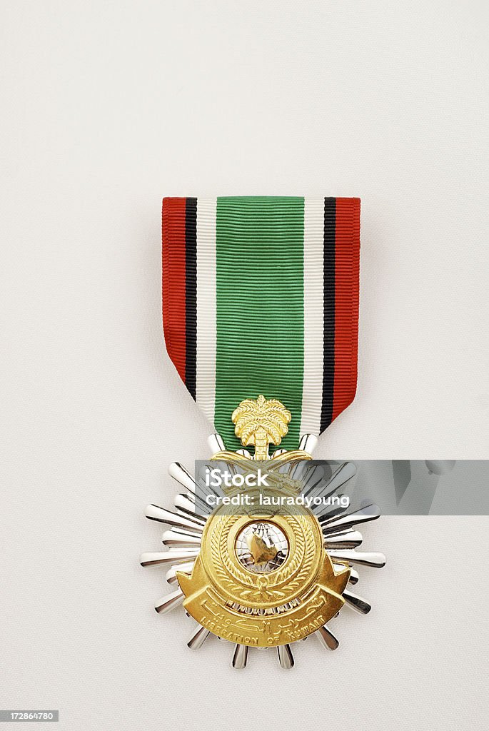 米国陸軍サウジアラビア、クウェートのメダルリベルタード - 空軍のロイヤリティフリーストックフォト
