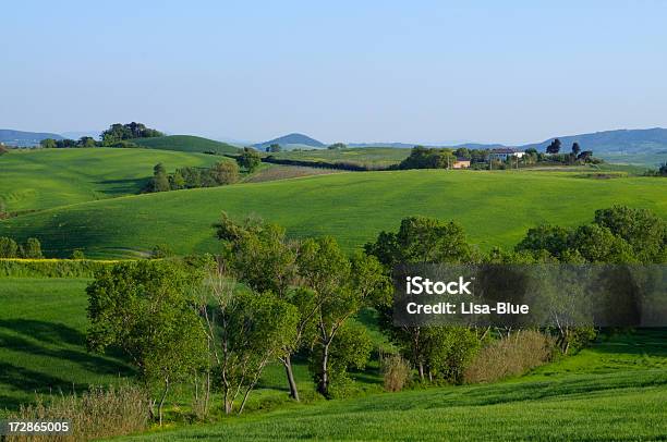 Tuscany Countryside Stock Photo - Download Image Now - Agricultural Field, Agriculture, Blue