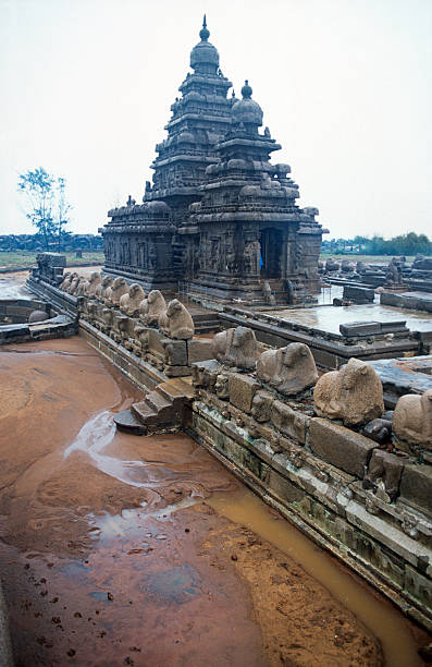 istock Shore temple at Mamallapuram 172865236