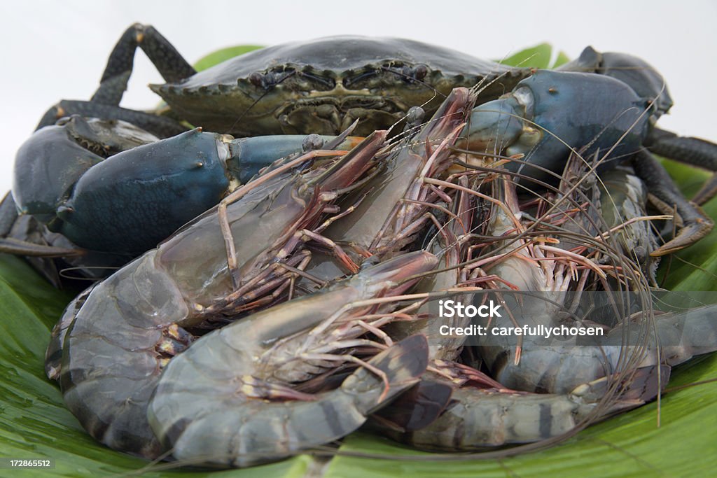 Frischen rohen Meeresfrüchten, Krabben, Garnelen und Krabben - Lizenzfrei Blau Stock-Foto