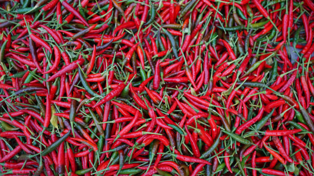 istock Hot chilli peppers pattern texture background. Close up background landscape of hot chili peppers. 1728659609