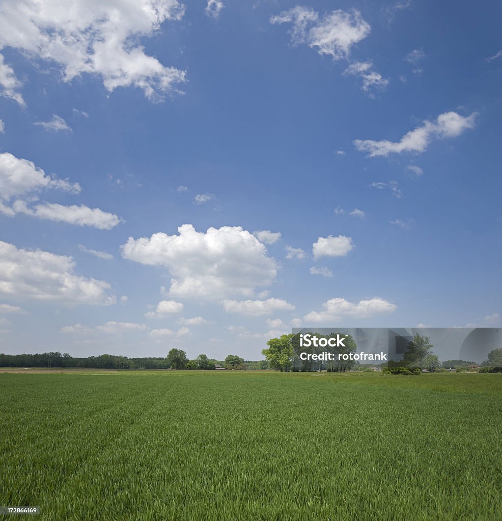 Landscape Landscape with blue sky Aspirations Stock Photo