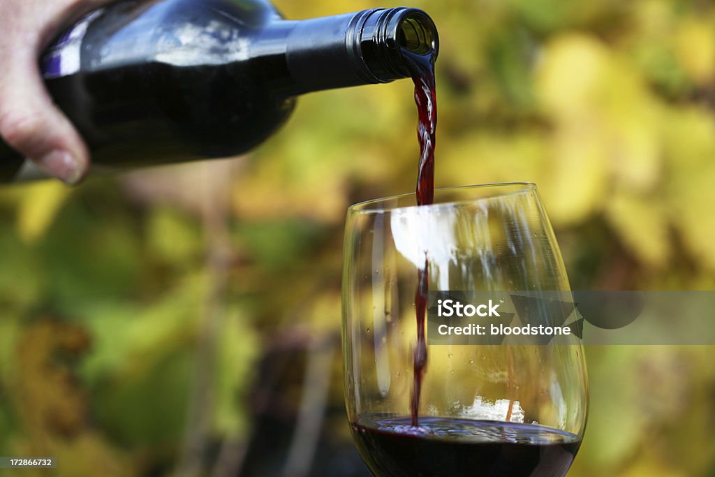 Red wine pouring red wine into glass with autumn grape vines in backgroundsee also Alcohol - Drink Stock Photo