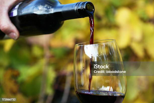 Red Wine Stock Photo - Download Image Now - Alcohol - Drink, Autumn, Bottle