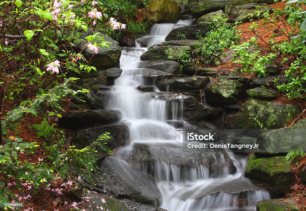 Cachoeira - Foto de stock de Massachusetts royalty-free