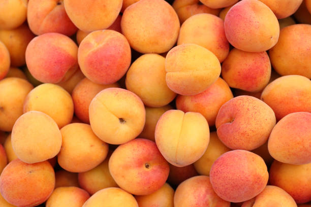 Apricots Apricots close-up. Apricot stock pictures, royalty-free photos & images