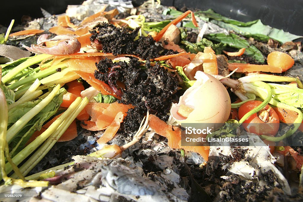 Worm Farm Organic matter in a worm farm Compost Stock Photo