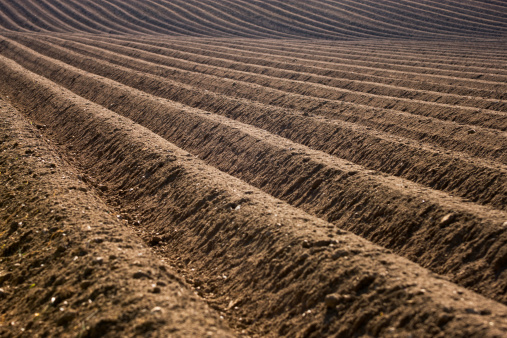 Closeup of a plowed field prepared for new planting.