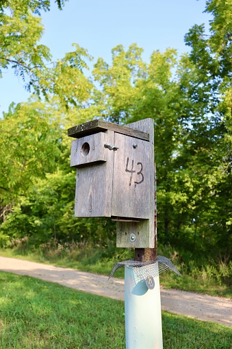 A close view of the old wood box birdhouse in the field.