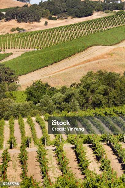 Uva Coltivatori Di Carneros Valley - Fotografie stock e altre immagini di Agricoltura - Agricoltura, Ambientazione esterna, Azienda vinicola