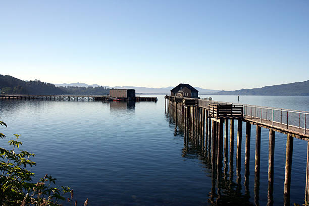 istock Garibaldi Pier on Oregon Coast 172867787