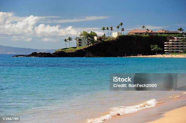 Roccia Nera Maui - Fotografie stock e altre immagini di Kaanapali Beach - Kaanapali Beach, Albero, Albero tropicale