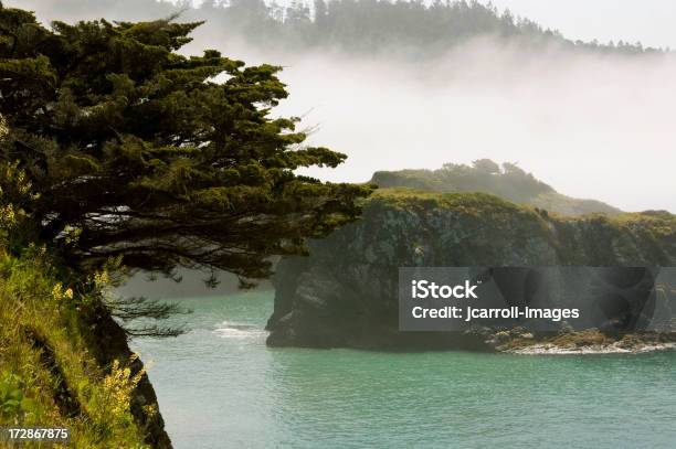 Nebbiosa Alba Mendocino California - Fotografie stock e altre immagini di Acqua - Acqua, Ambientazione tranquilla, Bellezza