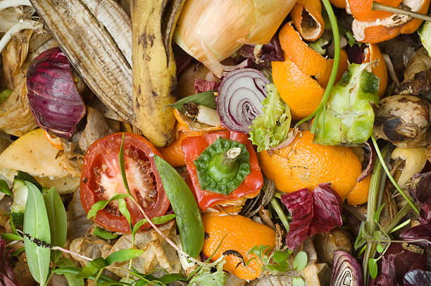 istock Compost heap in domestic garden overview 172868247