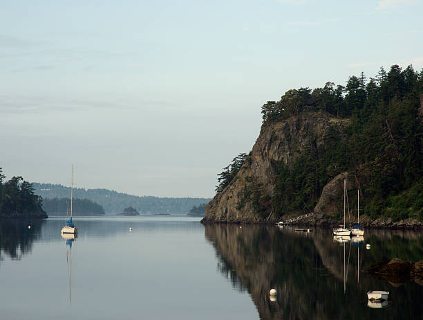 Deer Harbor Morgen – Foto