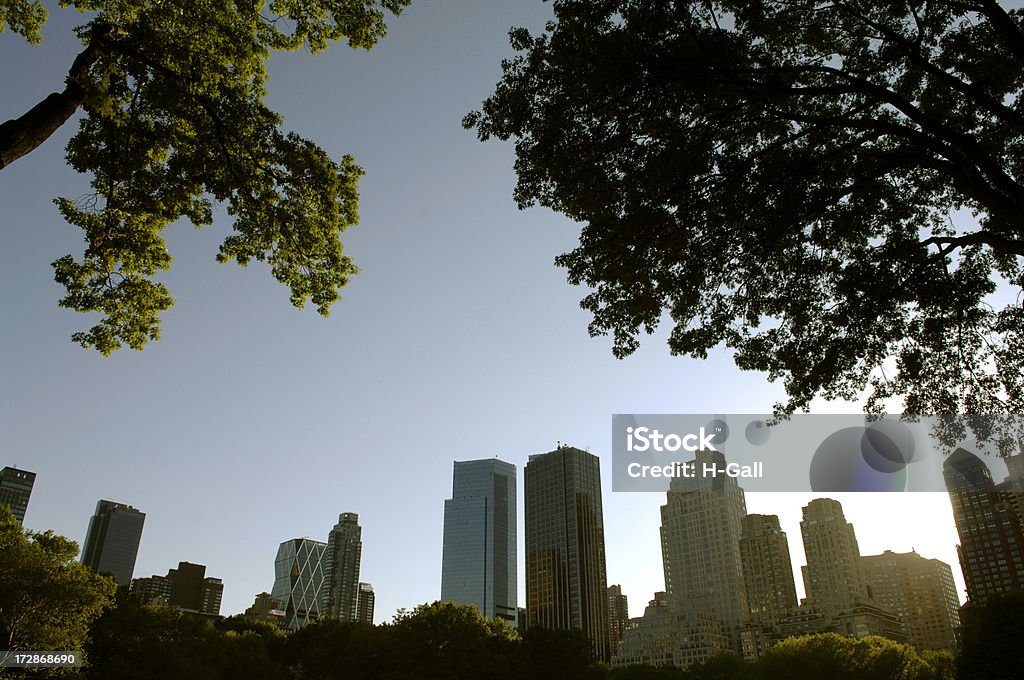 Horizonte de Nova Iorque do central park - Foto de stock de Abaixo royalty-free