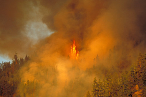 Forest Fire, Penticton, BC, Canada