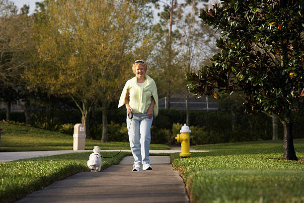 istock senior woman walking dog 172869104