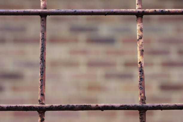 istock Metal security grille fence with blurred bricks 172869374