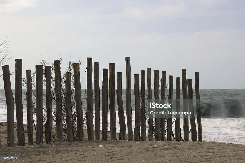 melancholic winter beach palisade of woods on the sea Antique Stock Photo