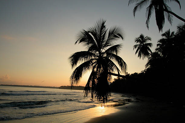 A view of a beautiful sunset in Costa Rica. The beach has palm trees, and the ocean is still-watered. The palm trees are silhouetted against the sky which is a pale blue and orange. The sun is low in the sky, casts an orange hue across the sea shore.