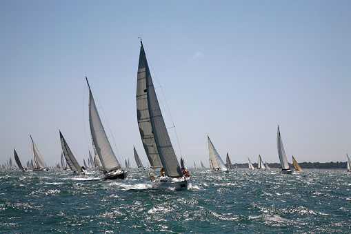 Yacht racing on a sunny day, at sea. 